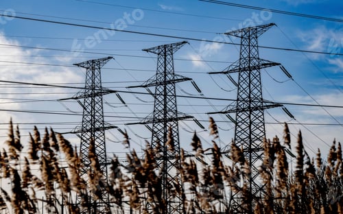Preview: Electric pylons towering over a field of reeds under a cloudy sky.