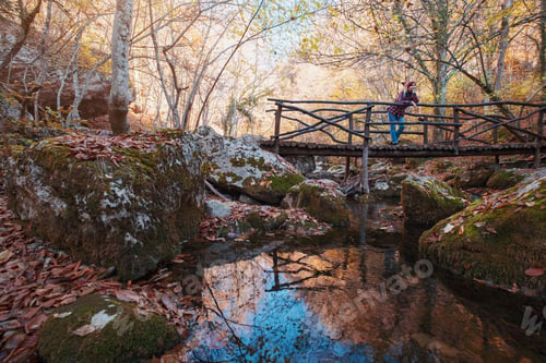 Preview: Woman hiking looking at scenic view of autumn foliage landscape.