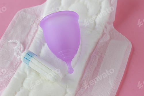 Preview: Concept of critical days, menstruation.