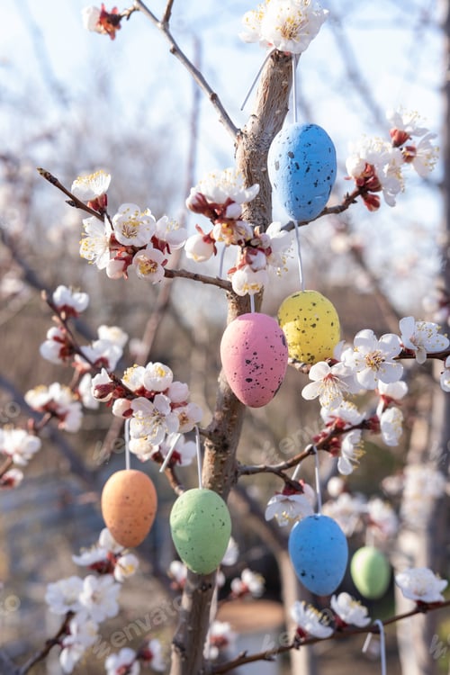 Preview: Flowering trees with hanging Easter colored eggs. garden is decorated for Easter. Easter decorative