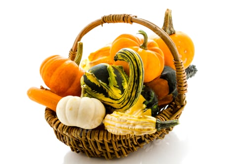 Preview: Mini pumpkins