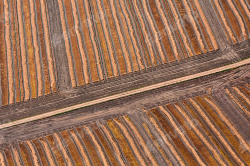 Preview: Aerial view of striped fields