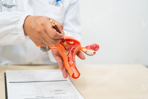 Preview: A female doctor sits at a desk in hospital explains about uterine conditions such as endometriosis