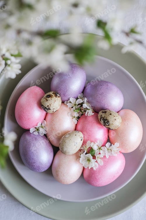 Preview: Top view of colorful pastel Easter eggs through cherry blossom branches