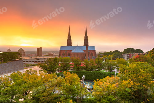 Preview: Cathedral of the Immaculate Conception