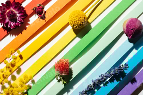 Preview: Rainbow colored paper stripes background with dry multicolor flowers