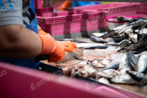 Preview: Process and production line in canned fish factory