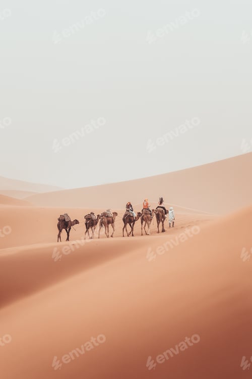 Preview: Camel trek with tourists through the sahara desert in Merzouga, Morocco
