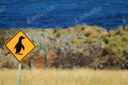 Preview: Road sign showing penguins crossing
