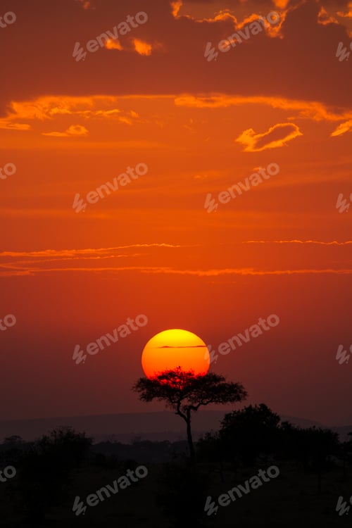 Preview: Sunset silhouette painting the sky with fiery hues