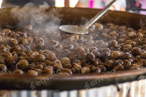 Preview: escargot is fried in a frying pan. Selective focus.