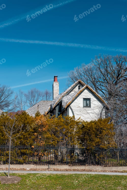 Preview: Big Beautiful House In A Chicago Suburban Area