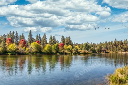Preview: Clear lake with reflection of clouds in it surrounded with forest