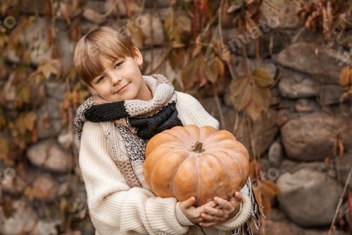 Preview: Portrait of a boy with pumpkins / concept of autumn, harvest, Halloween