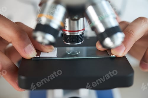 Preview: Examining Sample with Microscope