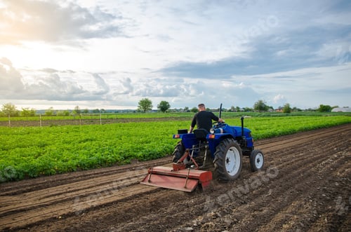 Preview: A man farmer works in a farm field.