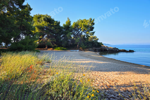 Preview: Landscape with deserted beach and clear water. Summer morning on