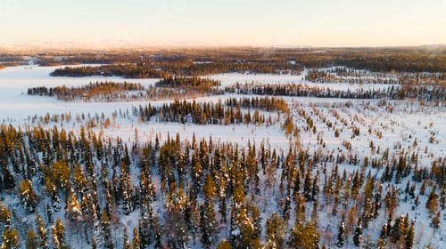 Preview: Aerial view of the lake and forest on a cold winter day sunrise