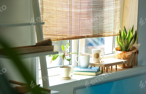 Preview: Green houseplants on window sill in room. Stylish interior