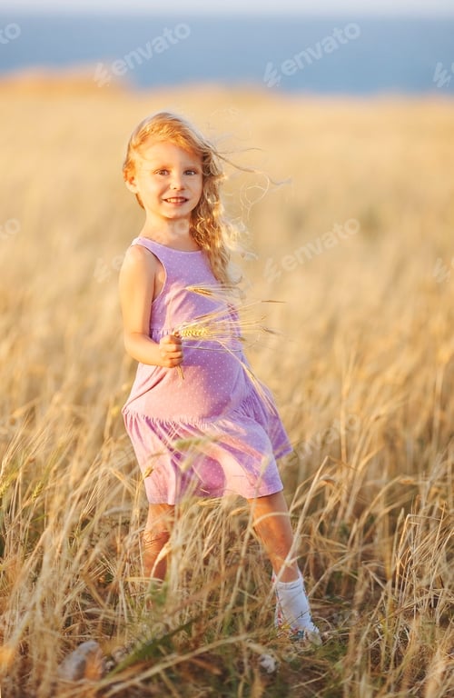 Preview: A little blonde girl is standing in a wheat field in summer with spikelets in her hands.