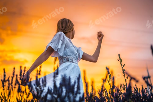 Preview: A young blonde Caucasian woman in a white dress in a cultivated lavender field, sunset