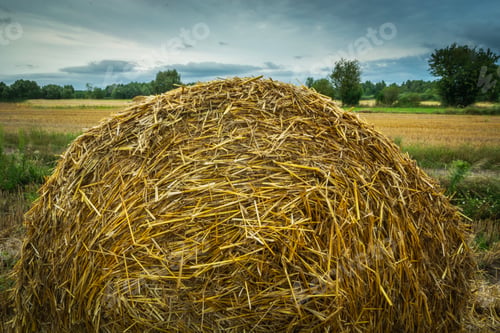 Preview: Close-up view of a round straw bale on a stubble field and a cloudy sky