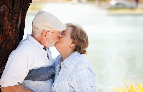 Vista previa: Feliz pareja de ancianos en el parque