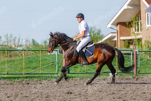 Preview: Young horseback sportsman on his course in showjumping competition