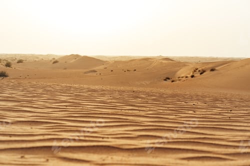 Preview: Yellow sand dunes in Dubai desert for a background