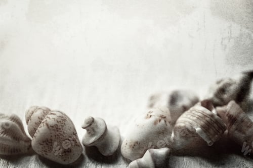Preview: Shells With Sand In Vintage Color Style