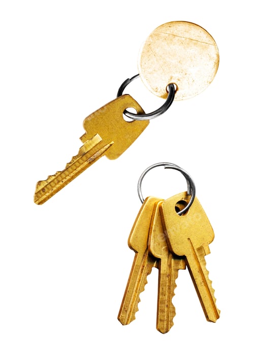Preview: keys on a white background