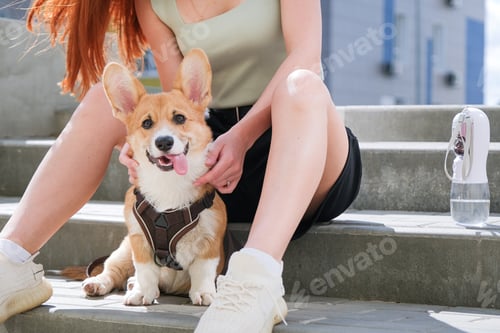Preview: woman walking her corgi puppy outdoor, stroking it sitting on the stairs