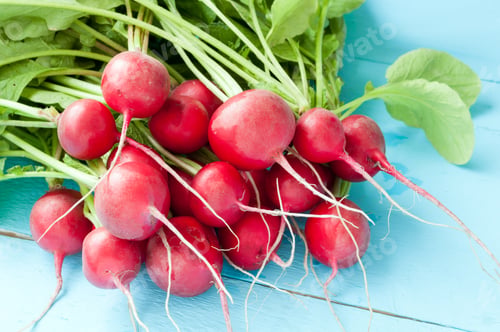Preview: Bunch of radishes on wooden. Spring vegetables on a rustic background