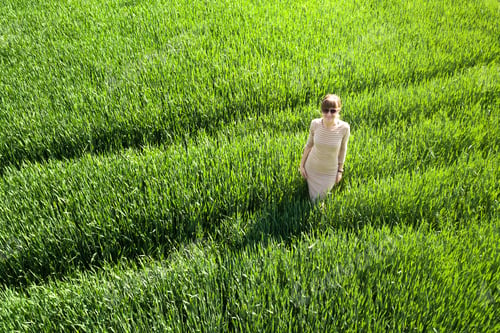 Preview: Aerial view of a young woman standing in green wheat field