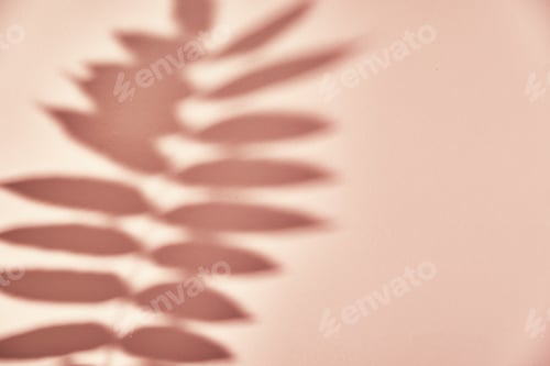 Preview: Leaf shadow on pink background. Creative abstract background