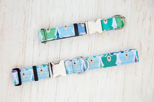 Preview: Dog Collar and Leash set. Pet Supplies and Walking Gear Collection