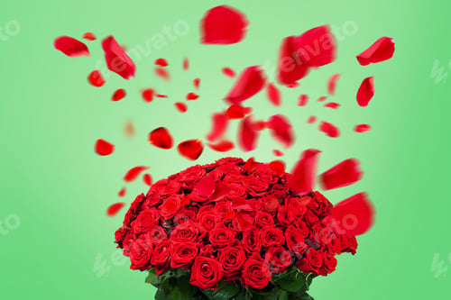 Preview: Beautiful bouquet of red roses with flying petals on a green background. Valentine's Day