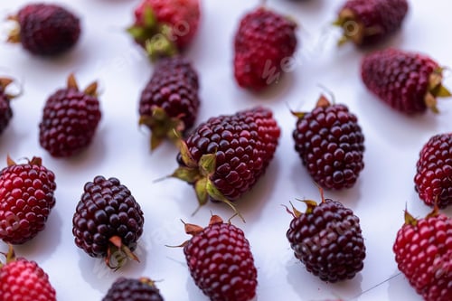 Preview: Fresh Ripe Blackberries Close Up with Natural Texture