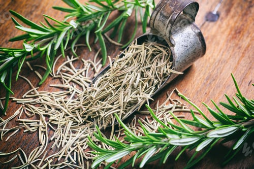 Preview: Fresh and dried rosemary on a wooden table