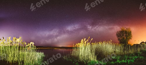 Preview: Milky Way Galaxy In Night Starry Sky Above Young Green Lonely Tree And Lake River Landscape In