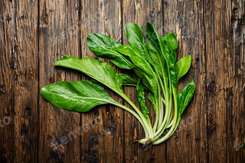 Preview: swiss chard