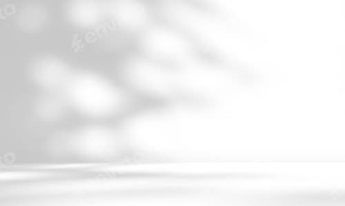 Visualização: Estúdio de sala branca vazia com efeito de sobreposição de sombra de folhas para exibição de apresentação do produto.