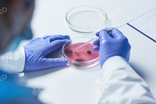 Preview: Testing purple sample in microbiological laboratory