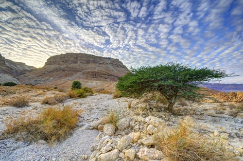 Preview: Masada In The Desert Of Israel