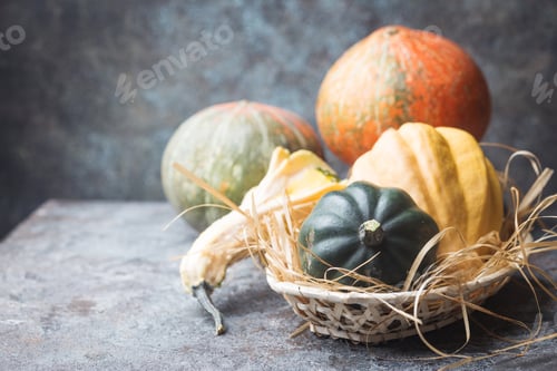 Preview: raw pumpkins in a basket