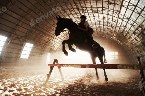 Preview: Majestic image of horse horse silhouette with rider on sunset background. The girl jockey on the