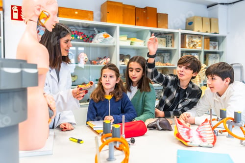 Preview: Students raising hands in anatomy class with teacher and anatomical models