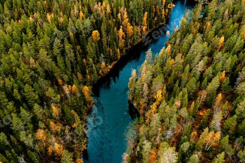 Preview: Aerial view of blue winding river and fall forest with autumn colorful trees.
