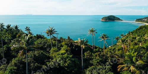 Preview: tropical summer with this elevated aerial perspective. The foreground is dominated by a lush,