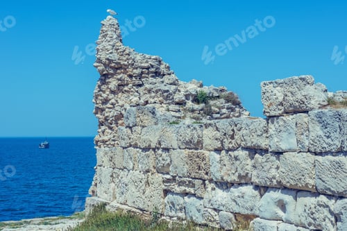 Preview: Summer Landscape- Background Sea Coast, Green Grass. Lovely Place Walk- Seawalker.